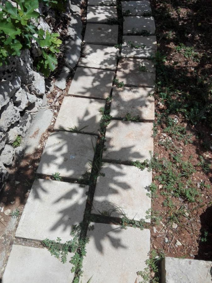 Palacca, Trullo Salentino Андрано Экстерьер фото