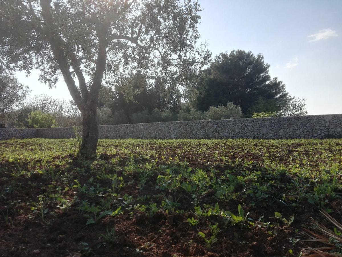 Palacca, Trullo Salentino Андрано Экстерьер фото